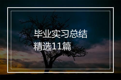 毕业实习总结精选11篇