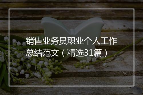 销售业务员职业个人工作总结范文（精选31篇）