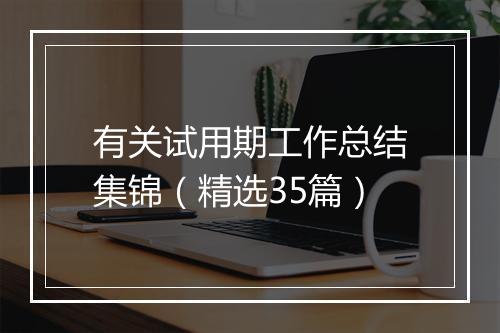 有关试用期工作总结集锦（精选35篇）