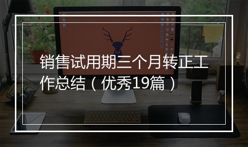 销售试用期三个月转正工作总结（优秀19篇）