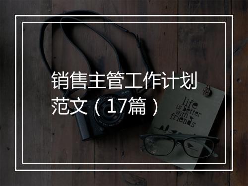 销售主管工作计划范文（17篇）