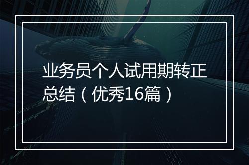 业务员个人试用期转正总结（优秀16篇）
