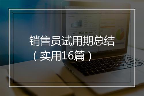 销售员试用期总结（实用16篇）