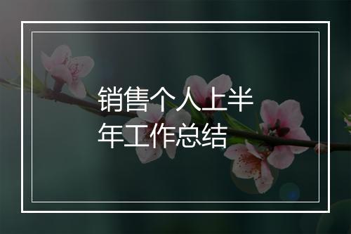 销售个人上半年工作总结