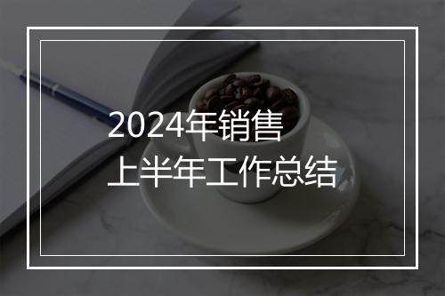 2024年销售上半年工作总结