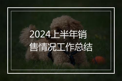 2024上半年销售情况工作总结