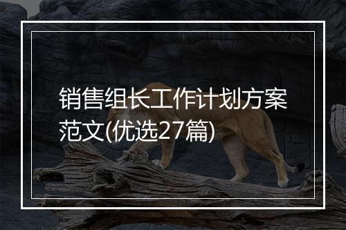 销售组长工作计划方案范文(优选27篇)