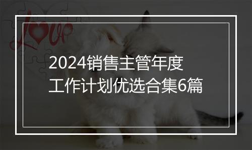 2024销售主管年度工作计划优选合集6篇