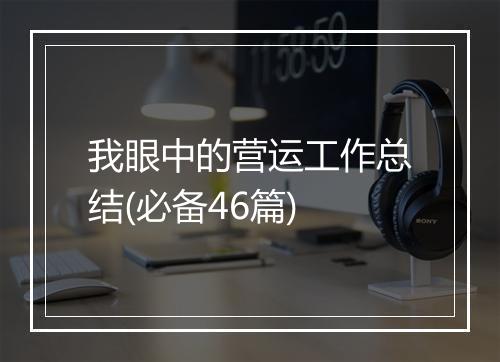 我眼中的营运工作总结(必备46篇)