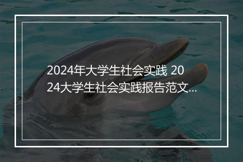 2024年大学生社会实践 2024大学生社会实践报告范文精选10篇