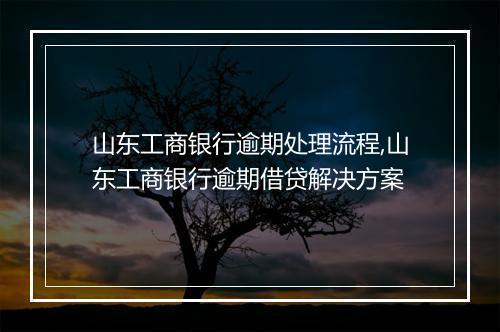 山东工商银行逾期处理流程,山东工商银行逾期借贷解决方案