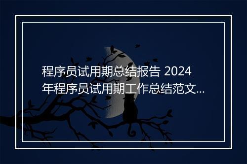 程序员试用期总结报告 2024年程序员试用期工作总结范文精选8篇