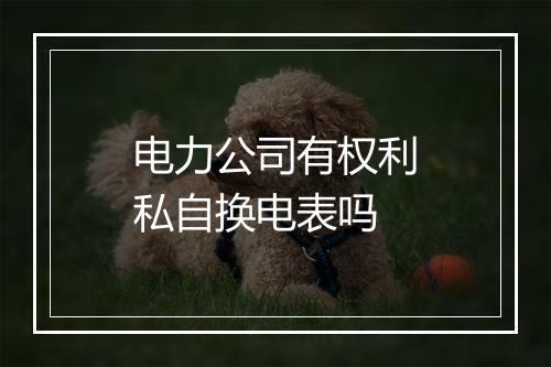 电力公司有权利私自换电表吗