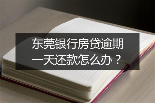 东莞银行房贷逾期一天还款怎么办？