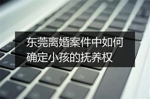 东莞离婚案件中如何确定小孩的抚养权