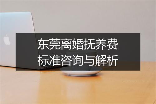 东莞离婚抚养费标准咨询与解析