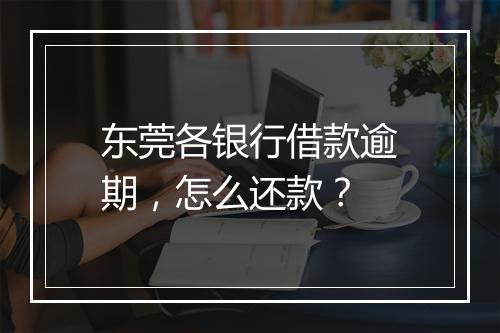 东莞各银行借款逾期，怎么还款？