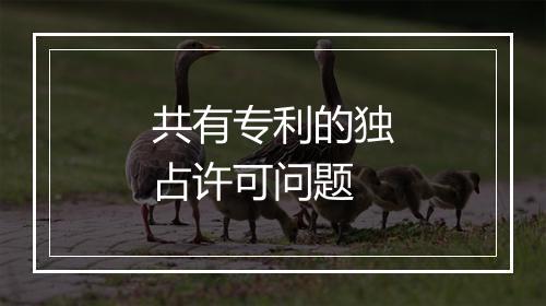 共有专利的独占许可问题
