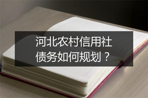 河北农村信用社债务如何规划？