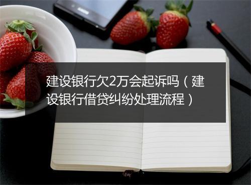 建设银行欠2万会起诉吗（建设银行借贷纠纷处理流程）