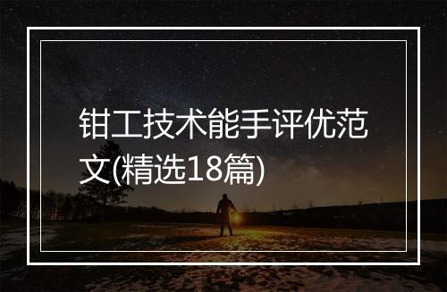钳工技术能手评优范文(精选18篇)