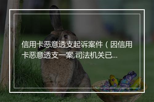 信用卡恶意透支起诉案件（因信用卡恶意透支一案,司法机关已申请拘捕令）