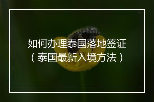 如何办理泰国落地签证（泰国最新入境方法）