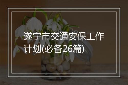 遂宁市交通安保工作计划(必备26篇)