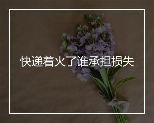 快递着火了谁承担损失
