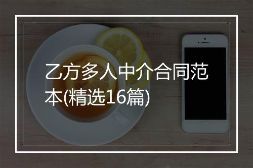乙方多人中介合同范本(精选16篇)