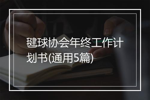 毽球协会年终工作计划书(通用5篇)