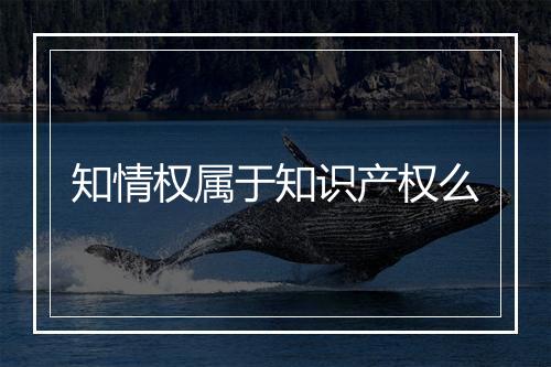 知情权属于知识产权么