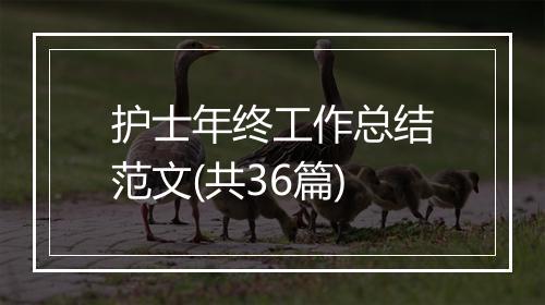 护士年终工作总结范文(共36篇)