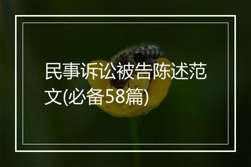 民事诉讼被告陈述范文(必备58篇)