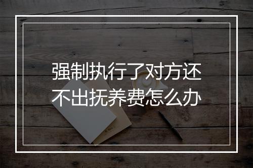 强制执行了对方还不出抚养费怎么办