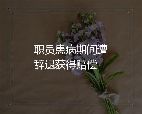 职员患病期间遭辞退获得赔偿