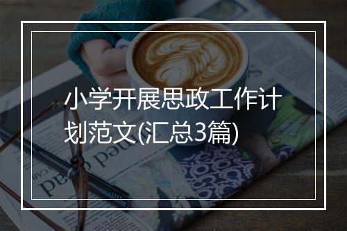 小学开展思政工作计划范文(汇总3篇)