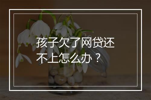 孩子欠了网贷还不上怎么办？
