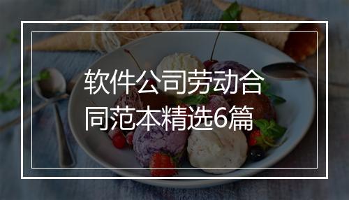 软件公司劳动合同范本精选6篇