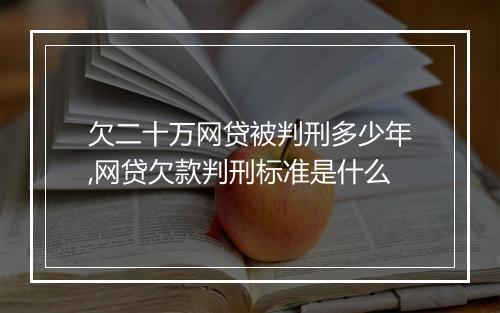 欠二十万网贷被判刑多少年,网贷欠款判刑标准是什么