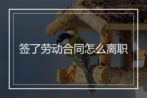 签了劳动合同怎么离职