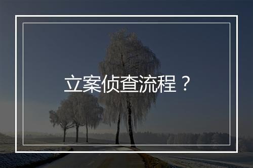 立案侦查流程？