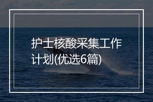 护士核酸采集工作计划(优选6篇)