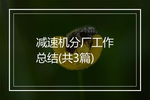 减速机分厂工作总结(共3篇)