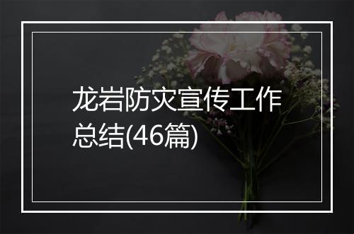 龙岩防灾宣传工作总结(46篇)
