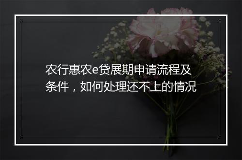 农行惠农e贷展期申请流程及条件，如何处理还不上的情况