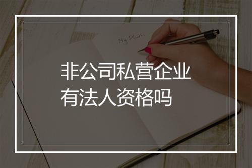 非公司私营企业有法人资格吗