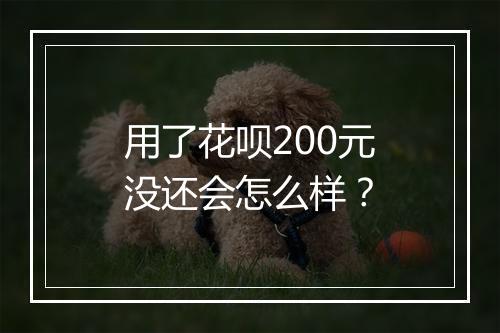用了花呗200元没还会怎么样？