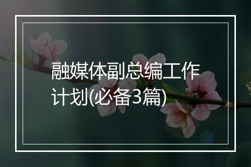 融媒体副总编工作计划(必备3篇)