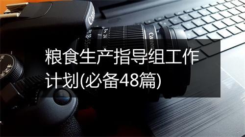 粮食生产指导组工作计划(必备48篇)